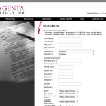 Magenta Consulting HR system
