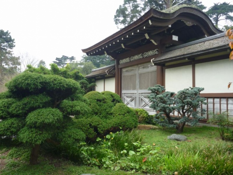 is the Japanese Tea garden