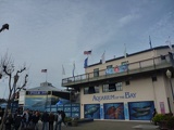 the bay aquarium