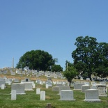 hilly parts of the cemetery