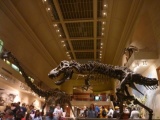 Washington Smithsonian Natural History Museum