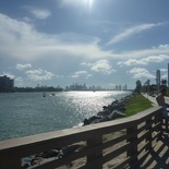 views of downtown miami from the beach