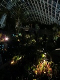 it is home to a "sky garden"