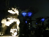 the themed gardens lit at night