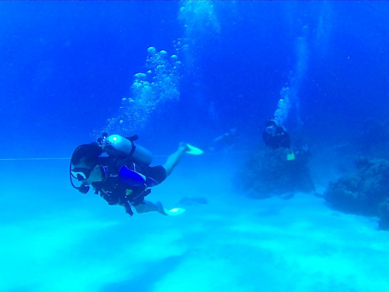 Dayang scuba gilldivers 2015 11
