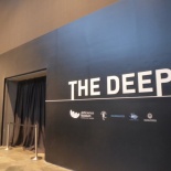 The Deep Exhibition 46