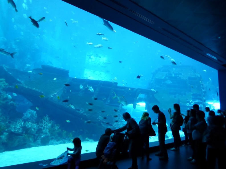 SEA-aquarium-sentosa-002