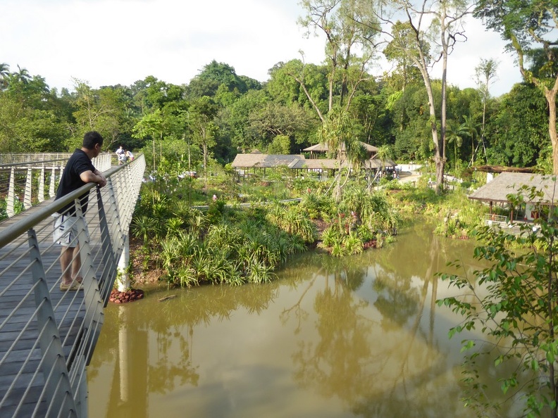 Overlooking the wetlands