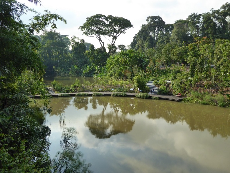 Learning Forest Wetland area overview