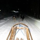 norway-tromso-husky-sledding-023