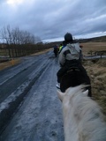 iceland-horse-ride-040