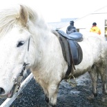 iceland-horse-ride-078
