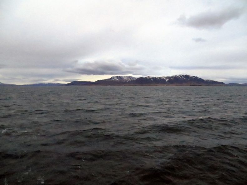 iceland-whale-watching-050.jpg