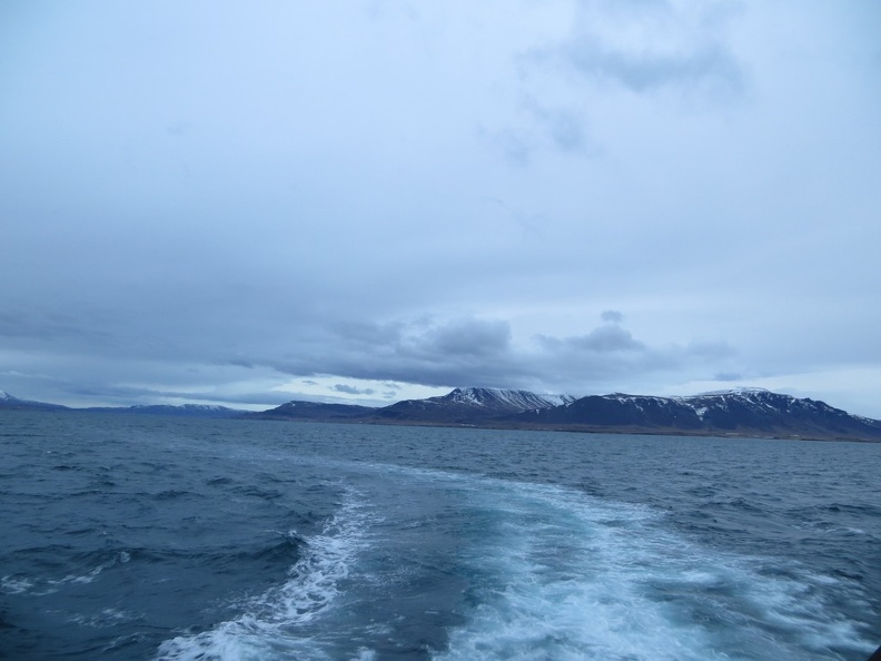 iceland-whale-watching-054.jpg