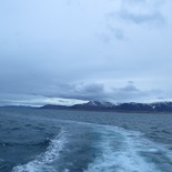 iceland-whale-watching-054