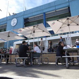 sydney-fish-market-26.jpg