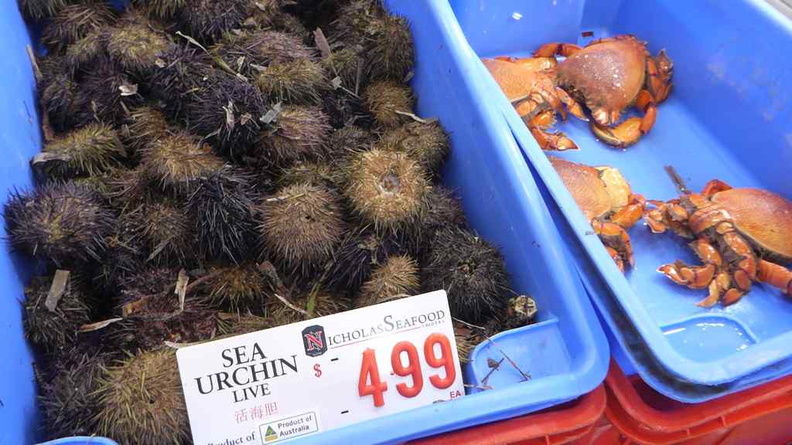 sydney-fish-market-27.jpg