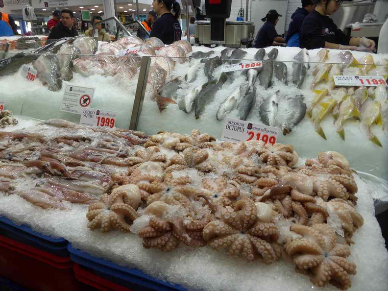sydney-fish-market-08.jpg