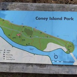 coney-island-015