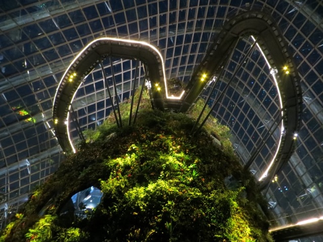 The cloud forest central tropical mountain