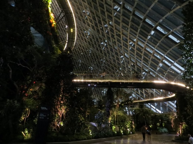Tree top walk catwalk from the conservatory ground level