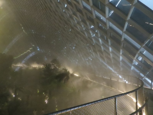 The tree top catwalk during the regular conservatory misting to maintain highland humidity