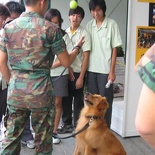 Here we get a K-9 demo from the K-9 unit.