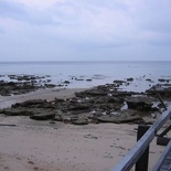 better view of the &quot;beached&quot; buoys at low tide