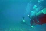 Pular Aur Underwater Scuba Diving photos