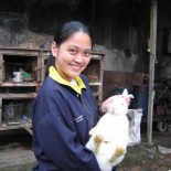 We were brought around the orphanage farms with vegatable farms, pigs and rabbits!