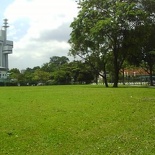 Open field near Newtown Sec