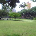 More fields, playground in background