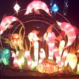 Lantern Displays