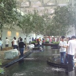 another overview of the koi pond area