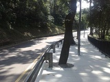 a short trek through few of the winding roads along Mt Faber