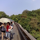 the bridge is open top, with no shelter at all