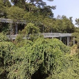 a view of the hill walk platforms from a distance