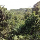 a view you never thought you can get in central Singapore... (now is that a starbucks joint behind that tree?)