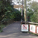 you will see this the start of the tree top canopy walk