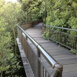 the canopy walk is not as popular due to it being quite out of place in the connector route