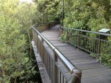 the canopy walk is not as popular due to it being quite out of place in the connector route