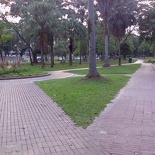 clementi woods is not exactly bike friendly given the large number of steps in the park, but too small to be considered a proper