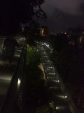 Nice night shot of the forest walk