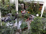 The Yakult garden, from the 2nd floor entrance