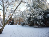 wolfson_snow_dec09_02.jpg