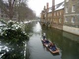 The mathematical bridge