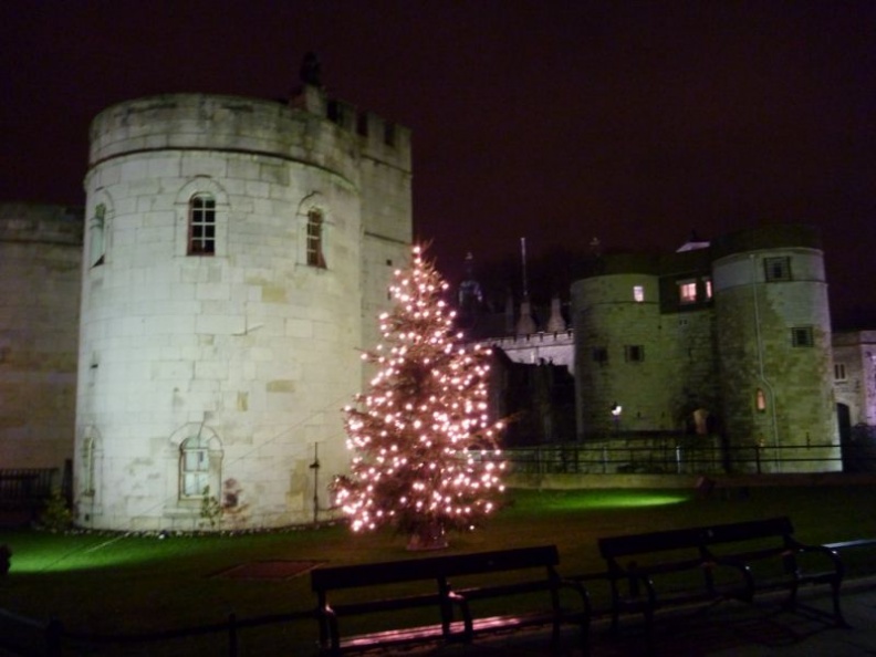 Cheery Christmas trees aside