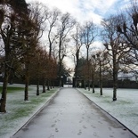 The tress lined walkway