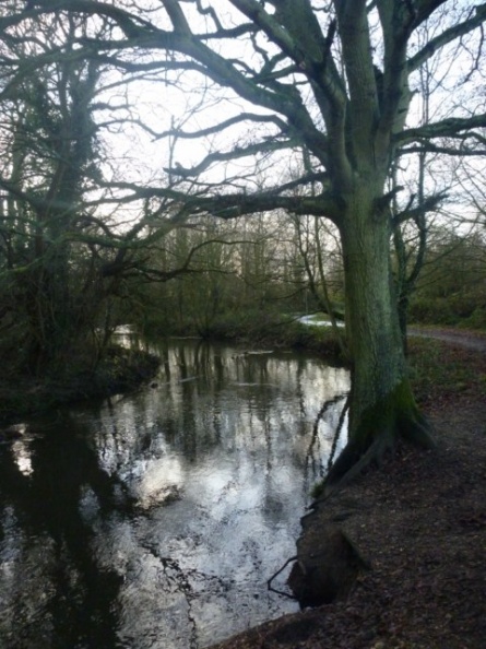 This stream runs along the trail