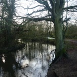 This stream runs along the trail